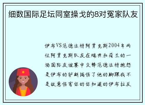 细数国际足坛同室操戈的8对冤家队友