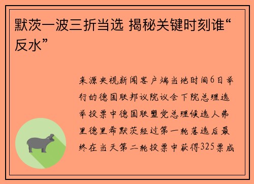默茨一波三折当选 揭秘关键时刻谁“反水”